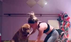 Workouts be like....