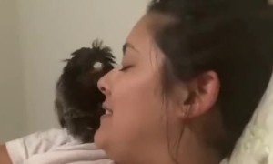 Person Opens Mouth for Monkey