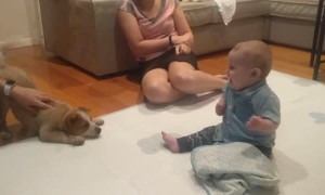 Excited Baby Meets Puppy for the First Time
