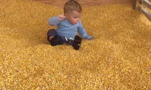 Kid Confused by Corn Kernels at Bottom of Slide