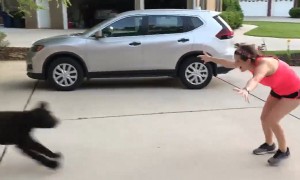 Nurse Gets To Finally Reunite With Dog After Month-Long Separation