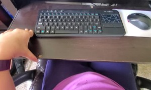 Workplace Distraction in Doggy Form