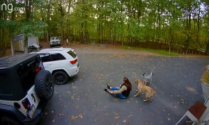 Super Excited Dog Slams Into Owner at Full Speed
