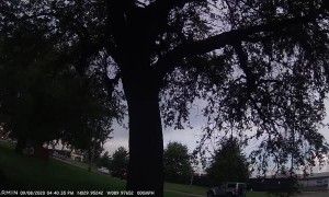 Driver Suffers Seizure Behind The Wheel