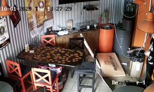 Cat Falls Through Ceiling into Tasting Room