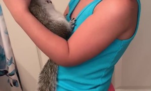 Squirrel Loves Being Held by His Best Friend