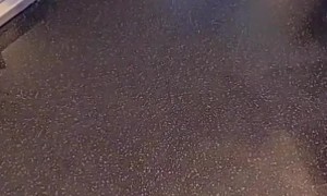 Barista Brings the Extra Whipped Cream