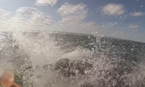 Bottlenose Dolphin Leaps over Kayaker