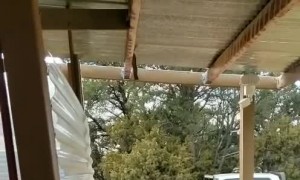 Elk Bluff Charges Deck in New Mexico