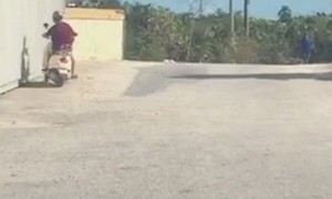 I Tried Not to Laugh (But I Failed)