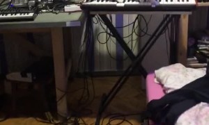 Cat Playing Horrifying Music on Synthesizer