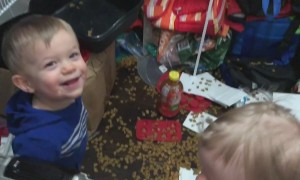 This Is Why We Can't Have Nice Things