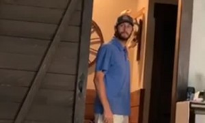 Stray Rooster Invited to Stay at Home