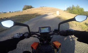 Close Call with Deer Crossing the Road