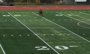 Moose Plays Some Soccer