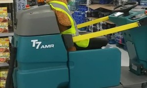 Beary Careful Zamboni Driver