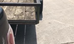 Forklift Load Flattens Trailer