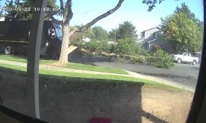 UPS Truck Takes Out Tree Branch