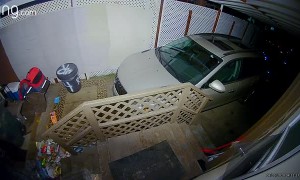 Bear Scared Away Before It Could Enter Open Window