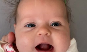 Baby Girl Gets Head Massage