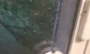 Alarm Test Turns into Glass Cleanup