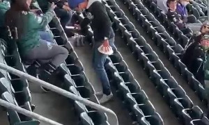 Pigeon Lands on Eagles Fan Shoulder