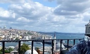 Seagull Flies Off with Food and Fork