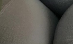 Attention Seeking Dog Refuses to Be Ignored