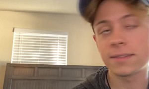 Impatient Doggy Demands Playtime