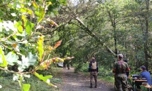 Two Trees Fall During Airsoft Event