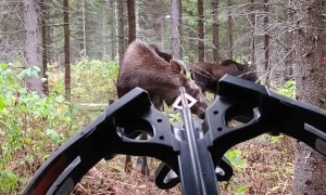 Hunter Experiences Incredible Encounter