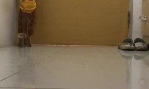 Clever Kitty Can Operate Door Handle