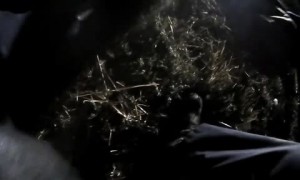 California police officer rescues woman stuck in flaming car