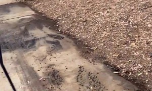 Extra Friendly Squirrel Climbs onto Men