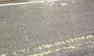 Drain Demolished to Rescue Stranded Puppy