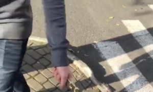 How to Walk a Dog When You Can't Find a Leash