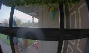 Dogs Stop Random Girl From Walking Into House