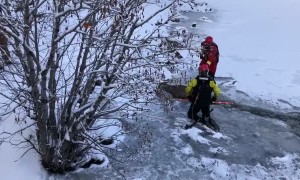 Firefighters rescue deer from icy lake in Colorado