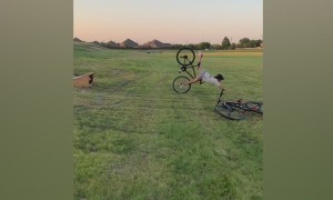 How My 2020 Is Going