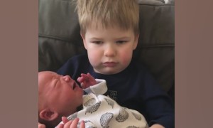 Families Meeting Newborns