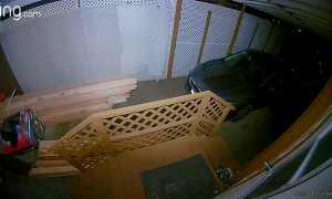 Bear Follows His Nose Right to Front Door