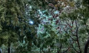 Ice Storm Causes Arcing Power Lines