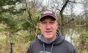 Big Buck Fights Deer Decoy