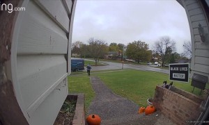 Dancing Delivery Driver Brings Joy Along With Packages