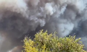 Footage shows devastation of the Cal Wood Fire