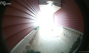 Toy Hammer Meets Ring Doorbell