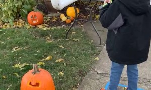 Socially Distanced Trick or Treating