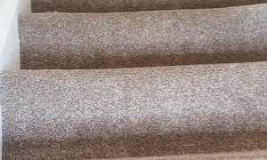 Pug Dons Iconic Halloween Costume