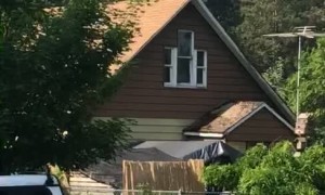 Turkey Gang Walks in Sync