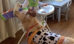 Best Friends Team up With Halloween Costumes